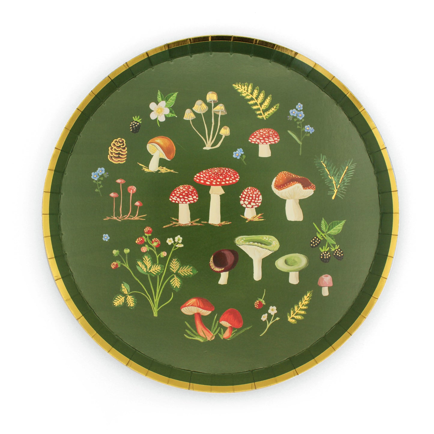 Woodland Wonders Dinner Plate (Set of 10)